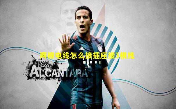 两根电线怎么接插座接3根线