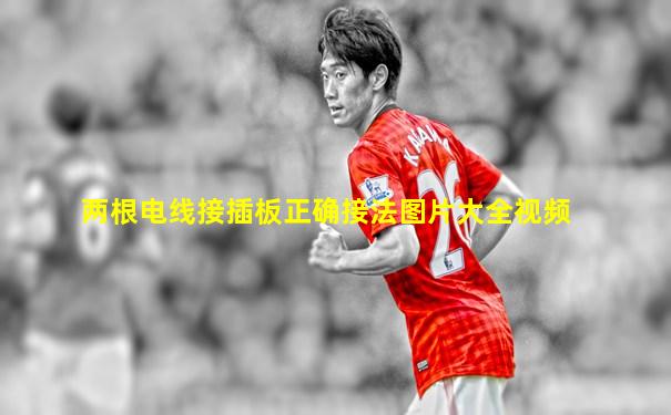 两根电线接插板正确接法图片大全视频