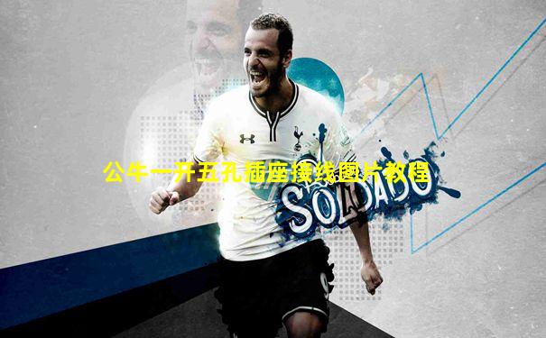 公牛一开五孔插座接线图片教程