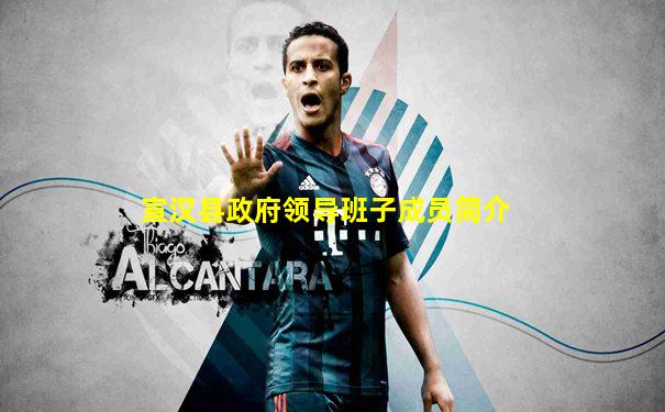 宣汉县政府领导班子成员简介