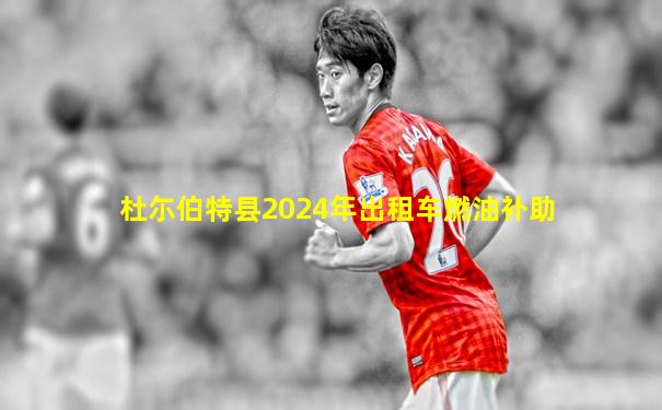 杜尓伯特县2024年出租车燃油补助
