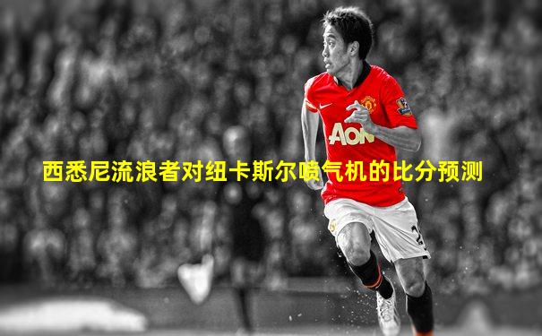 西悉尼流浪者对纽卡斯尔喷气机的比分预测